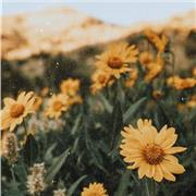 imparto clases particulares de diferentes materias, siempre adaptadas al alumno.